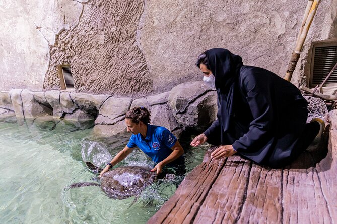 The National Aquarium Abu Dhabi Admission Tickets - Beyond the Glass and the glass-bottom boat