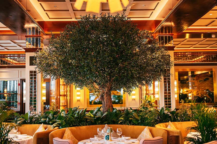The View Fast Track with an Italian Lunch at Signor Sassi - Signor Sassi’s three-course Italian lunch