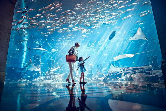 Ticket to Atlantis Aquaventure Waterpark & Combo - Raging Rapids and the park’s calmer side