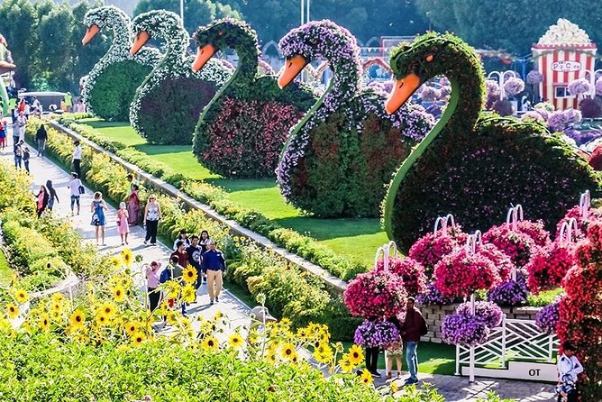 Tickets to Miracle Garden or Butterfly Garden or Global Village - What the driver does, and what the driver does not do