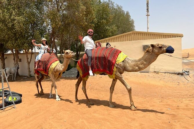 Vip Desert Safari Dubai with Camel Riding BBQ Dinner & Live Shows - Who will enjoy this safari most