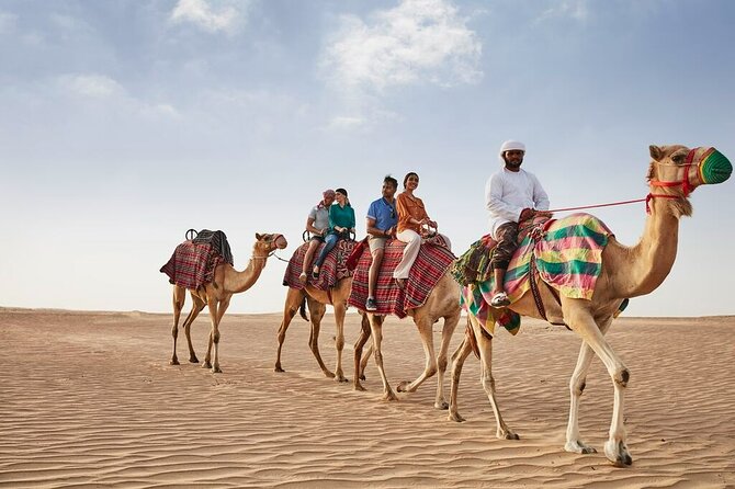 VIP Dubai Sunset Desert Safari: Camel Ride, BBQ, Unlimited Spirit - Stargazing before the return drive