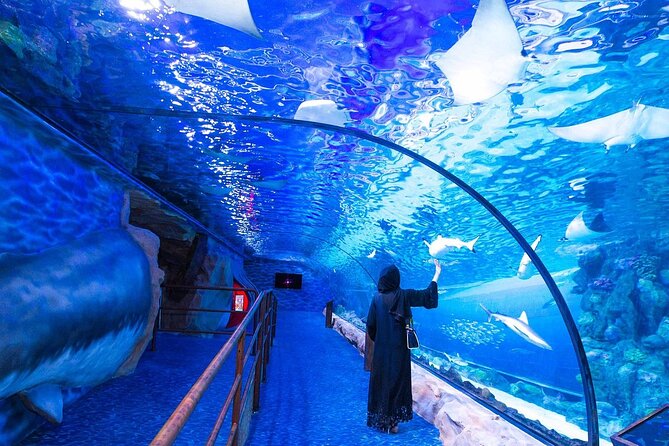 VIP Experience Dubai Aquarium & Underwater Zoo-As per Selection - The aquarium inside Dubai Mall
