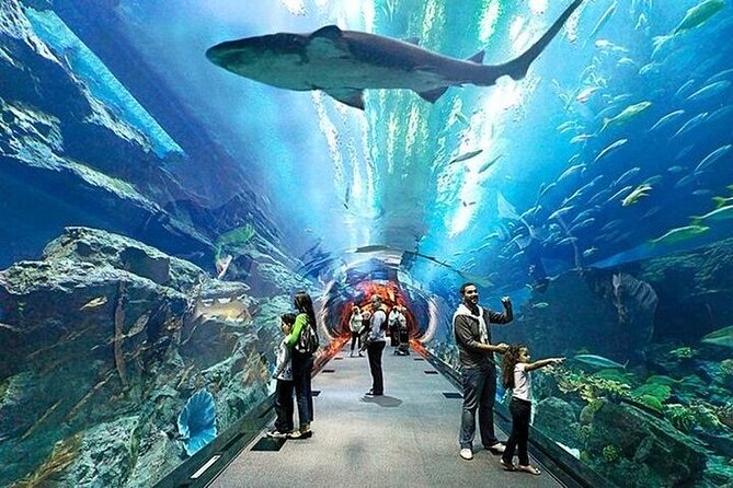 VIP Experience Dubai Aquarium & Underwater Zoo-As per Selection - What the VIP label actually adds